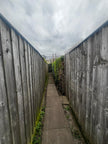 Room in a Shared House, Catharine St, CB1